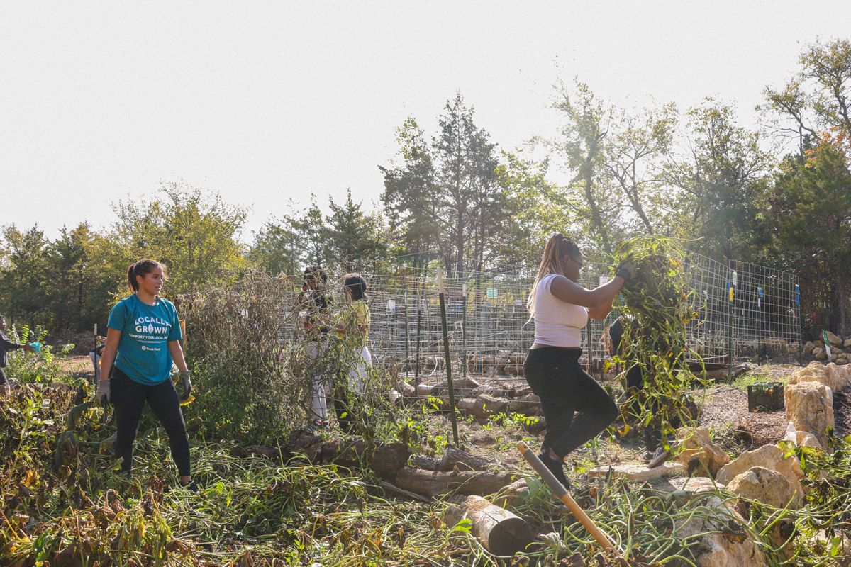 Mind Your Garden + Blue Zones Project Urban Farm Tour