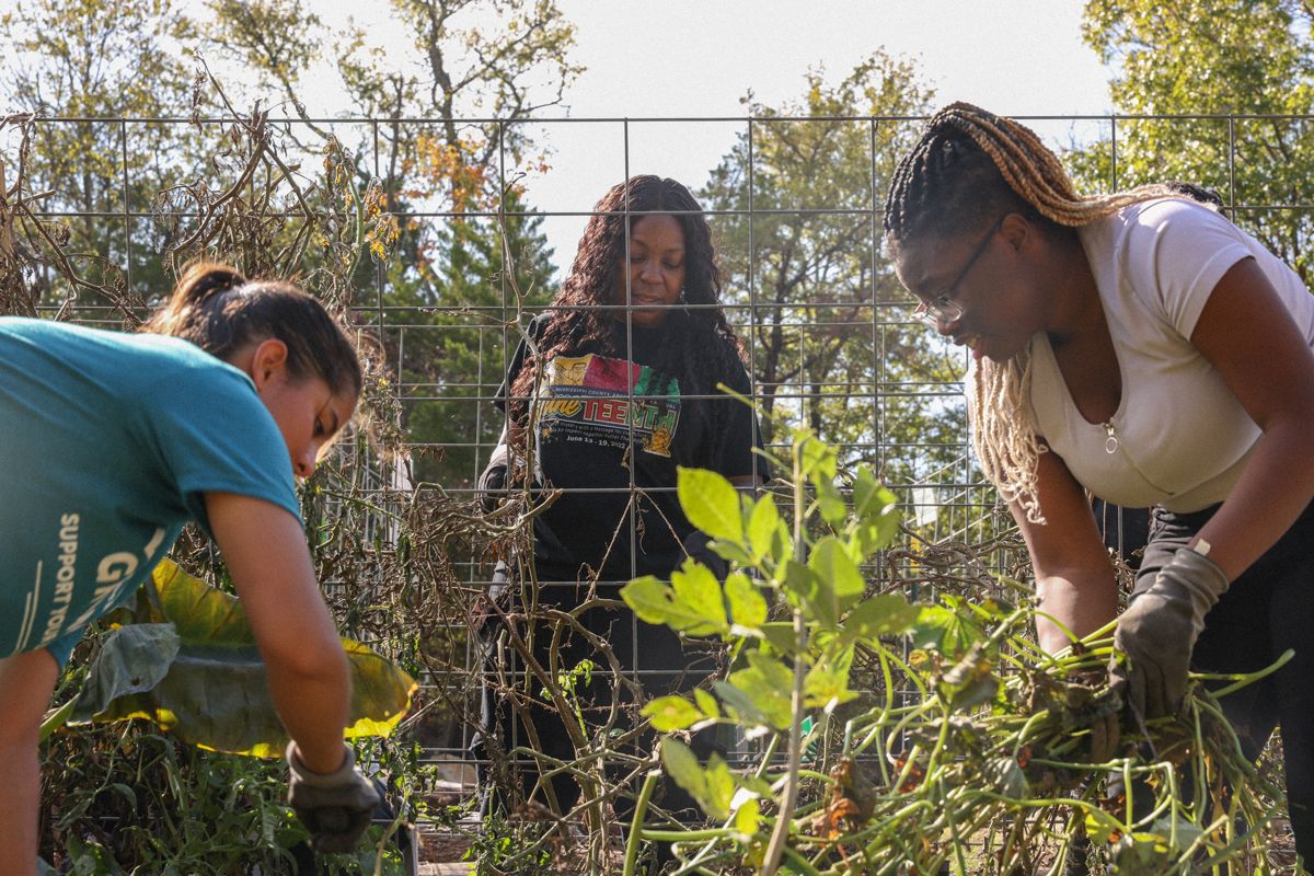 Mind Your Garden + Blue Zones Project Urban Farm Tour