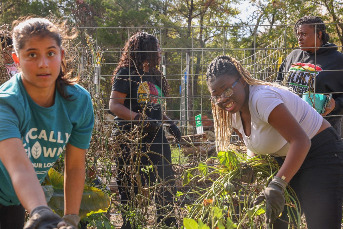 Mind Your Garden + Blue Zones Project Urban Farm Tour