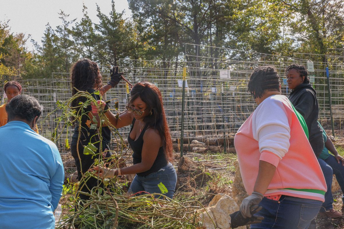 Mind Your Garden + Blue Zones Project Urban Farm Tour