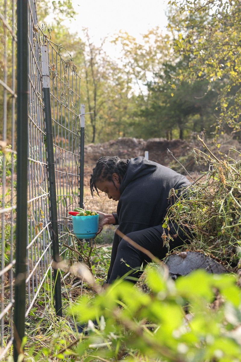 Mind Your Garden + Blue Zones Project Urban Farm Tour